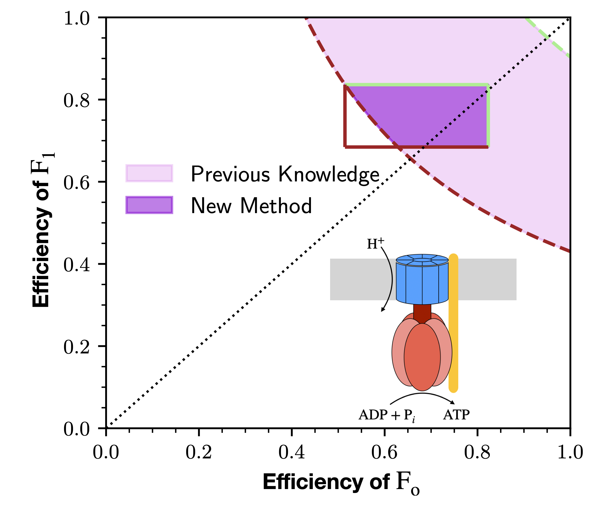 Subsystems Efficiencies of ATP Synthase